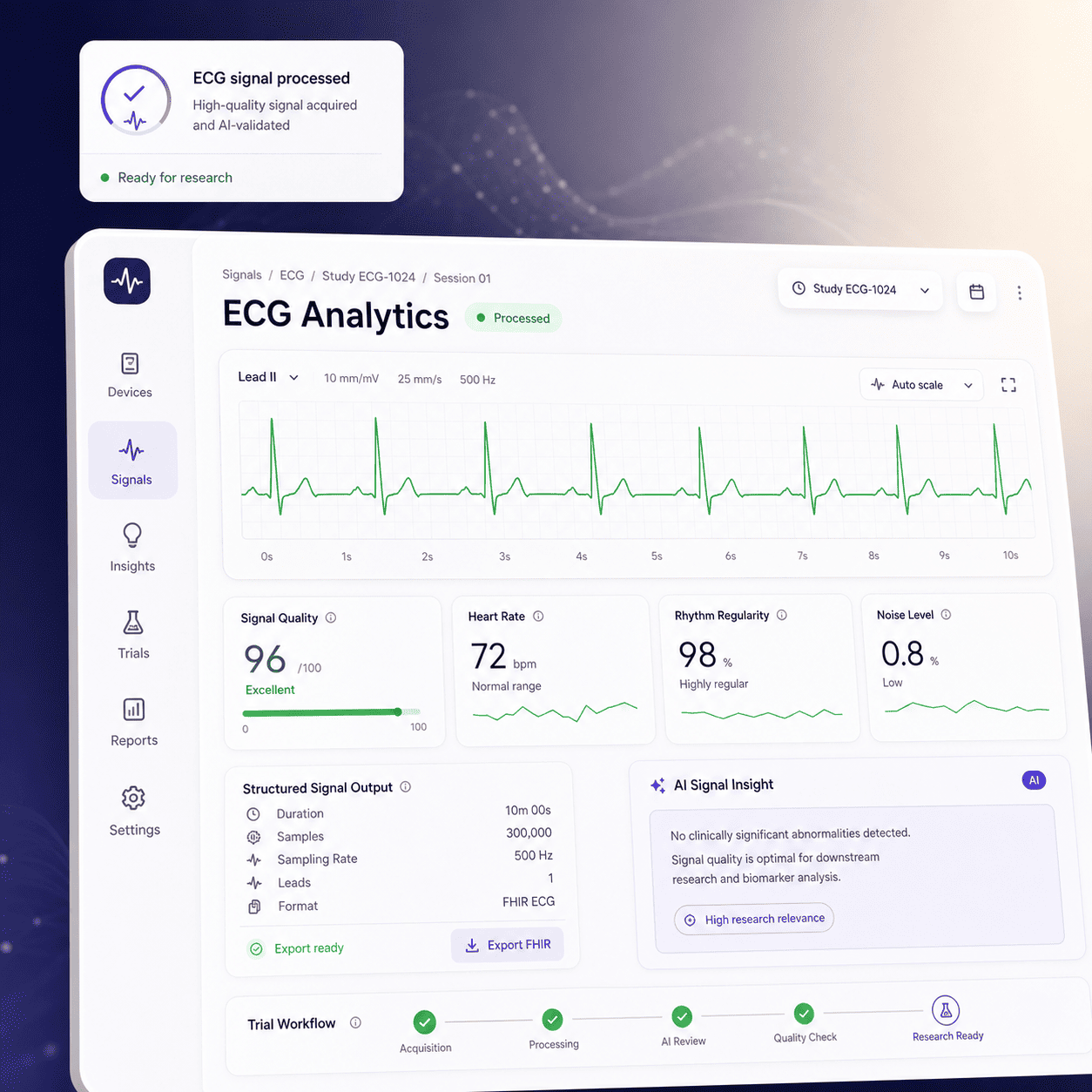 Key Metrics & Impact