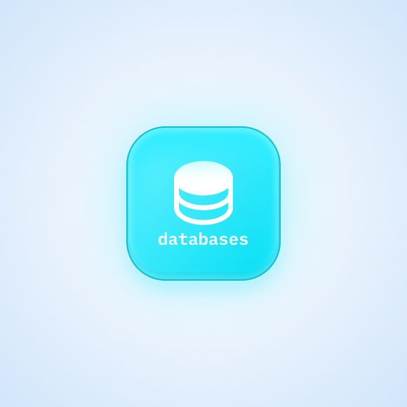 Vector Databases